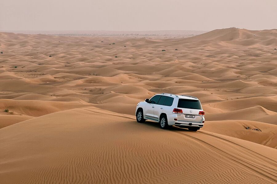 Dune safari